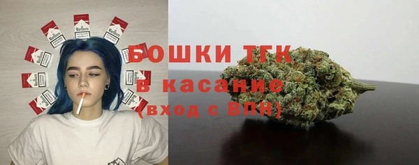 шишки Алексеевка