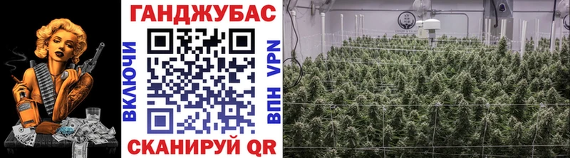 Бошки Шишки MAZAR Харабали